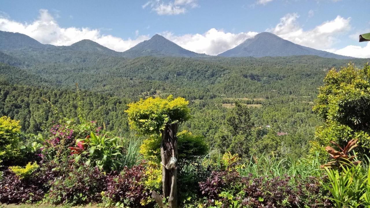Made Oka Homestay And Warung Munduk Exterior foto