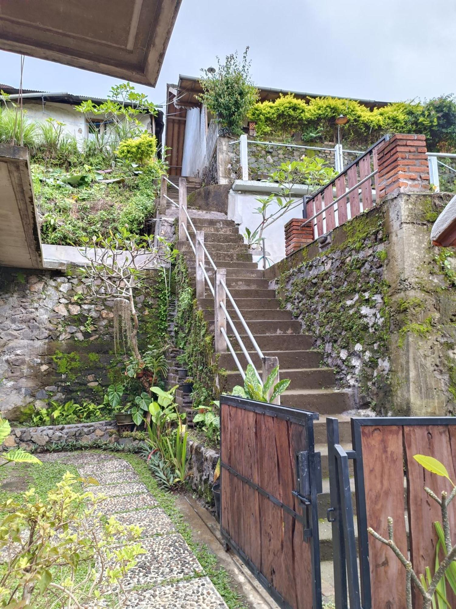 Made Oka Homestay And Warung Munduk Exterior foto