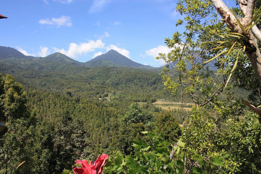 Made Oka Homestay And Warung Munduk Exterior foto