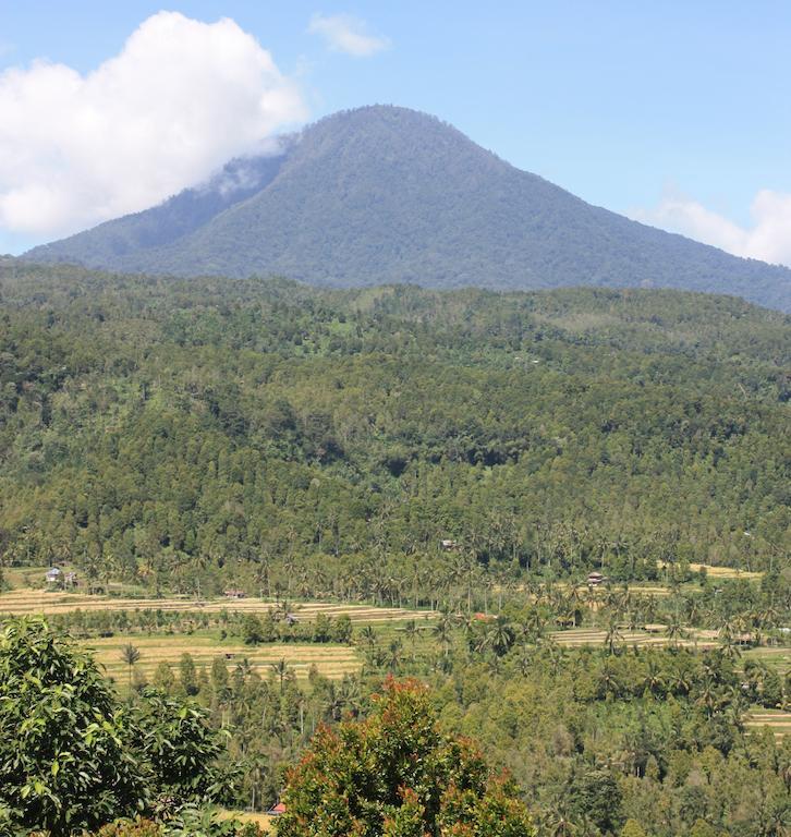 Made Oka Homestay And Warung Munduk Exterior foto